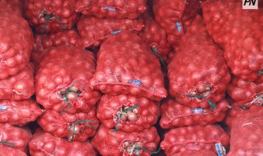 Павлодар облысының қалалары мен аудандарында кеңейтілген ауыл шаруашылығы жәрмеңкелері өтуде