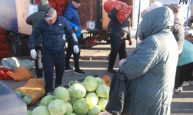 Павлодарда ауданның тауар өндірушілері жиналады