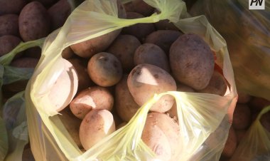 В микрорайонах Павлодара прошли праздничные ярмарки