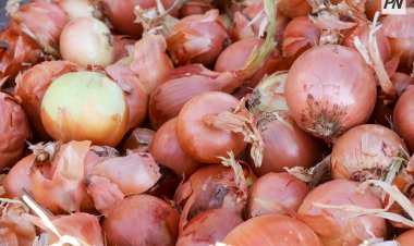 Павлодарлықтарды сенбілік жәрмеңкеге шақыруда