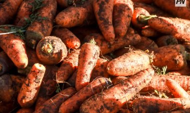 На сельхоз ярмарку приглашают Павлодарцев в субботу