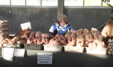 Павлодарда ауыл шаруашылығы жәрмеңкесі өтеді