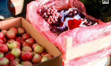 Мейрам келе жатыр: павлодарлықтарға қандай өнімдер арзан бағамен ұсынылады