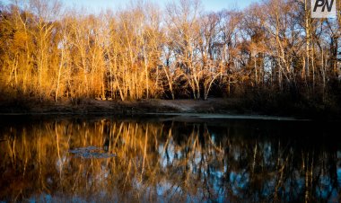 20 ноября в Павлодарской области ожидают дождь