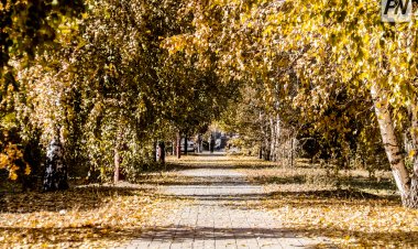 30 октября в Павлодарской области будет тепло