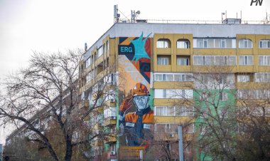 Жеті жасар оқушы Павлодардың көше өнерін зерттеді