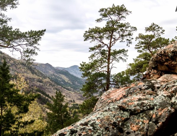 Баянаульских животноводов предупредили о запрете выпаса скота