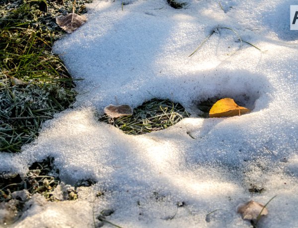 Қарашаның басында Павлодар облысында қар жауады