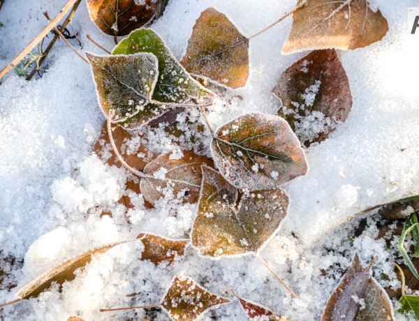 Метель и похолодание: погода в Павлодарской области 9 декабря