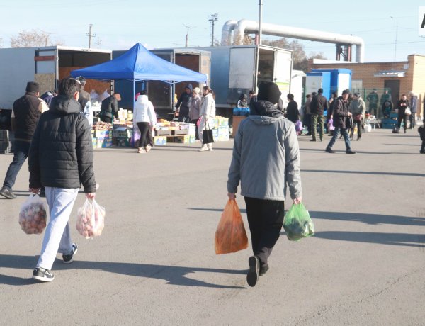 Павлодар облысында сайлау күні ауыл шаруашылығы жәрмеңкесі ұйымдастырылады