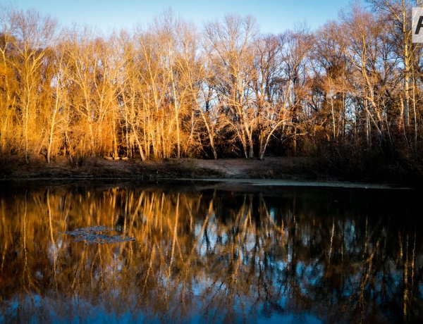 20 ноября в Павлодарской области ожидают дождь