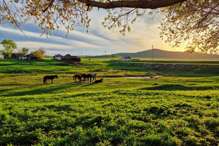 Қара адамдармен нағыз порно Смоленскідегі таза жеке секс