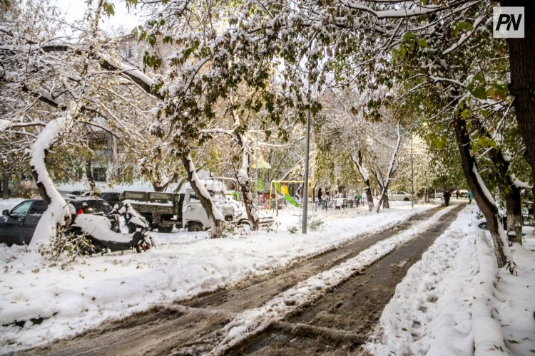 5 ноября в Павлодарской области ожидают снег и низовую метель