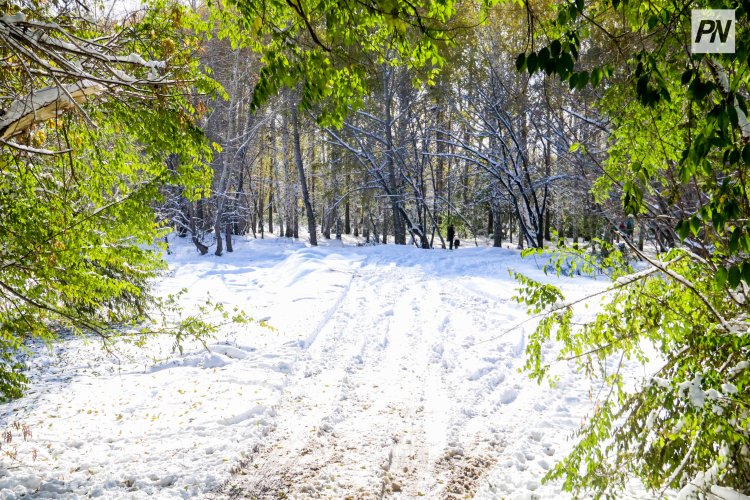 Как глобальное потепление ощущается в Павлодарской области