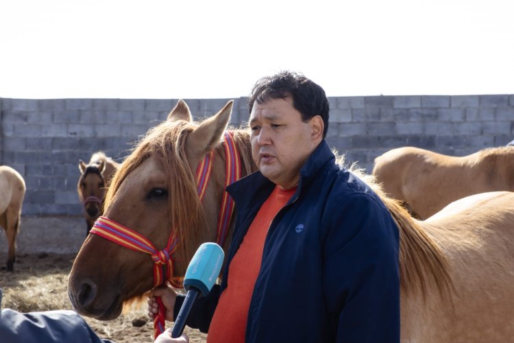 Екібастұзда дүнежүзілік сарапшылар жылқы шаруашылығын дамытуды талқылады