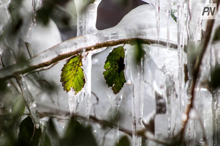 14 наурызда Павлодар облысында боран мен көктайғақ күтіледі