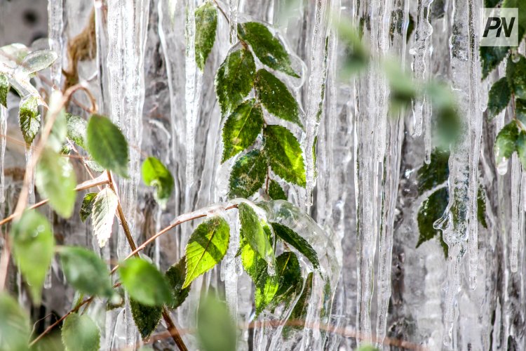 8 желтоқсанда Павлодар облысында көктайғақ күтіледі