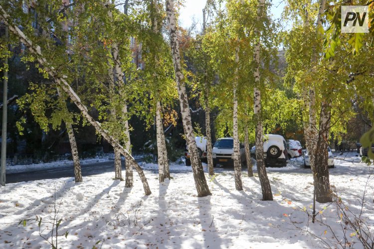 14 қарашада Павлодар облысында күн ашық болады