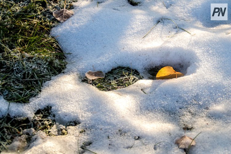 Қарашаның басында Павлодар облысында қар жауады