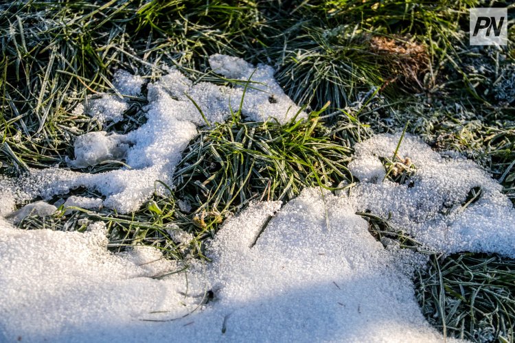 Павлодар облысында алдағы аптада ауа температурасы +20 градусқа дейін көтеріледі