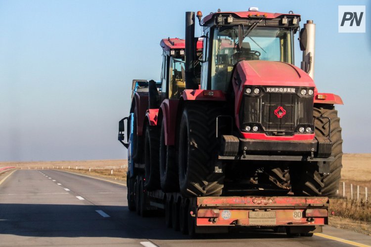 Биыл бұршақ дақылдарының рекордтық өнімі жиналды