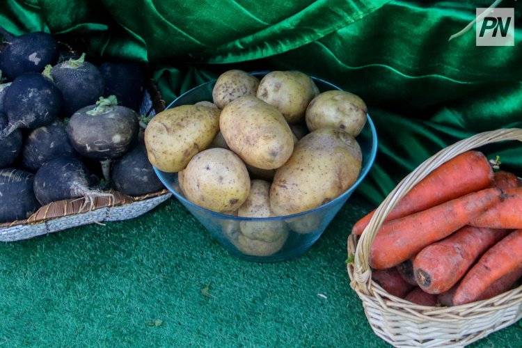 Павлодар облысында әлеуметтік маңызы бар азық-түлік тізімі кеңейеді