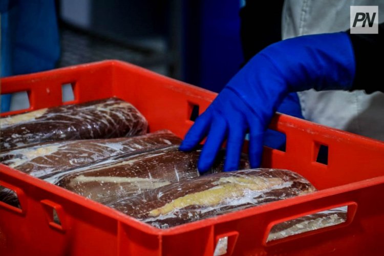 Қытайда арықтау бағдарламасына қатысқандарға ет түрінде сыйақы ұсынылды