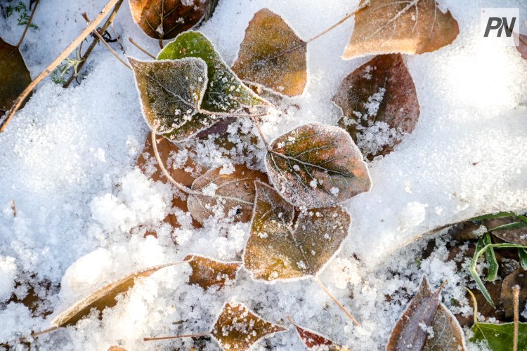 Метель и похолодание: погода в Павлодарской области 9 декабря