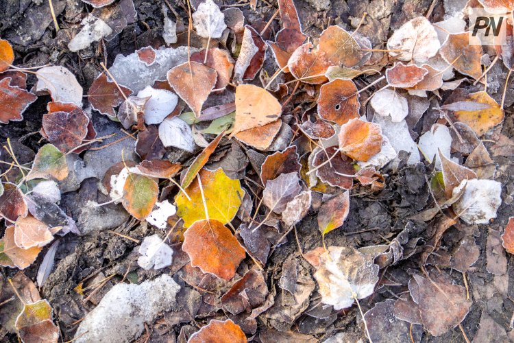 3 ноября в Павлодарской области прогнозируют снег с дождём