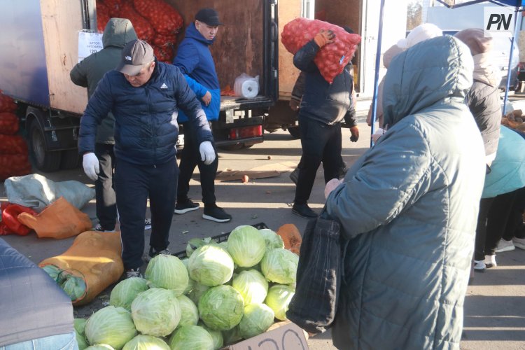 Павлодарда ауданның тауар өндірушілері жиналады