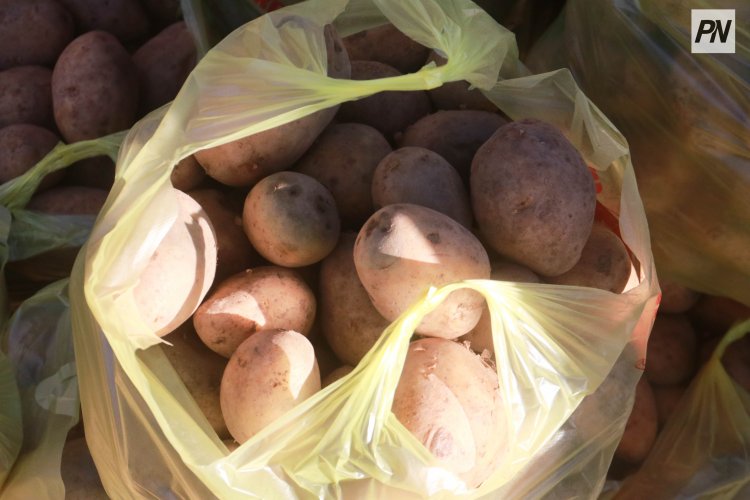 В микрорайонах Павлодара прошли праздничные ярмарки