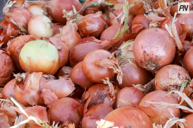 Павлодарлықтарды сенбілік жәрмеңкеге шақыруда