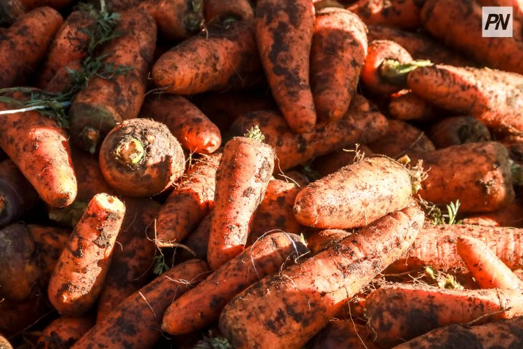 На сельхоз ярмарку приглашают Павлодарцев в субботу