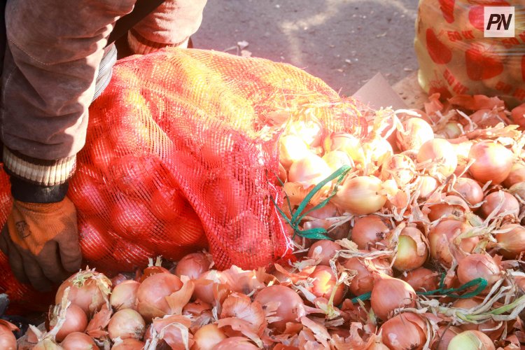 Павлодарда кезекті ауыл шаруашылығы жәрмеңкесі өткізіледі