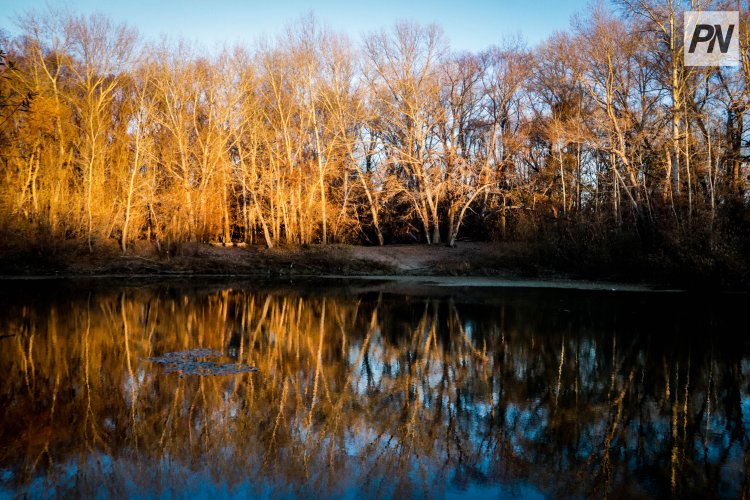 20 ноября в Павлодарской области ожидают дождь