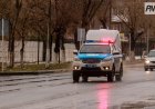 Павлодарлық полицей ит қапқан баланы ауруханаға шұғыл жеткізді