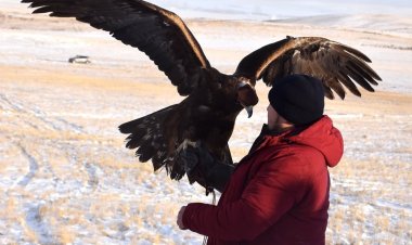Кусбеги из Павлодарской области взял «бронзу» республиканского турнира