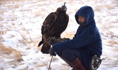 Баянауылда құсбегілік бойынша ұлттық турнир өз мәресіне жетті