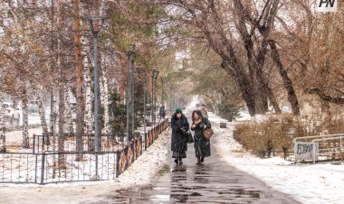 Небольшой снег ожидают в Павлодарской области 14 ноября