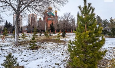 Общественники проверили качество озеленения Павлодарской области