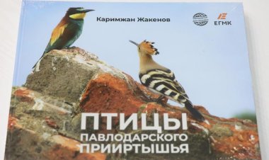 В Павлодаре презентовали золотой фонд птиц Прииртышья