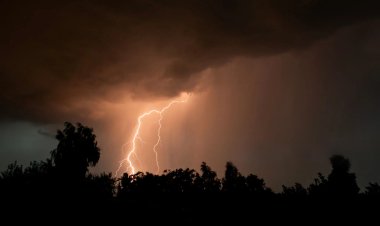 Павлодар облысында найзағай салдарынан орман өрттері көбейді