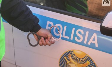 Павлодар облысында заңсыз миграция арнасы жойылды