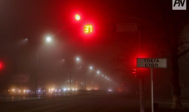 Павлодар облысында 31 наурызда тұман күтіледі