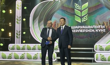 Аграрии вывели Павлодарскую область в топ-5 регионов страны