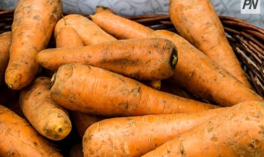 Павлодарцам рассказали об обновлении перечня социально значимых товаров