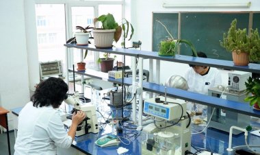 ҚазҰУ ғалымдары тұқымдарды қорғаудың тиімді жолын тапты