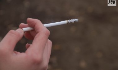 «Таза Қазақстан»: в Павлодаре усилили борьбу с нарушителями чистоты