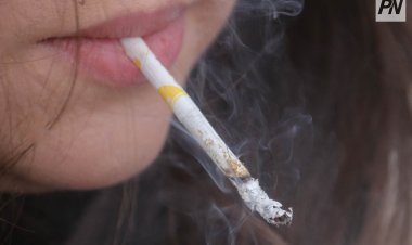 Павлодар облысында қоғамдық орындарда темекі шеккен 300-ге жуық адам жазаланды