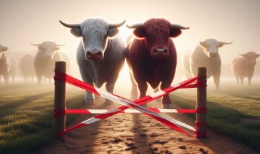 Павлодарские налоговики сообщили об ограничениях экспорта скота